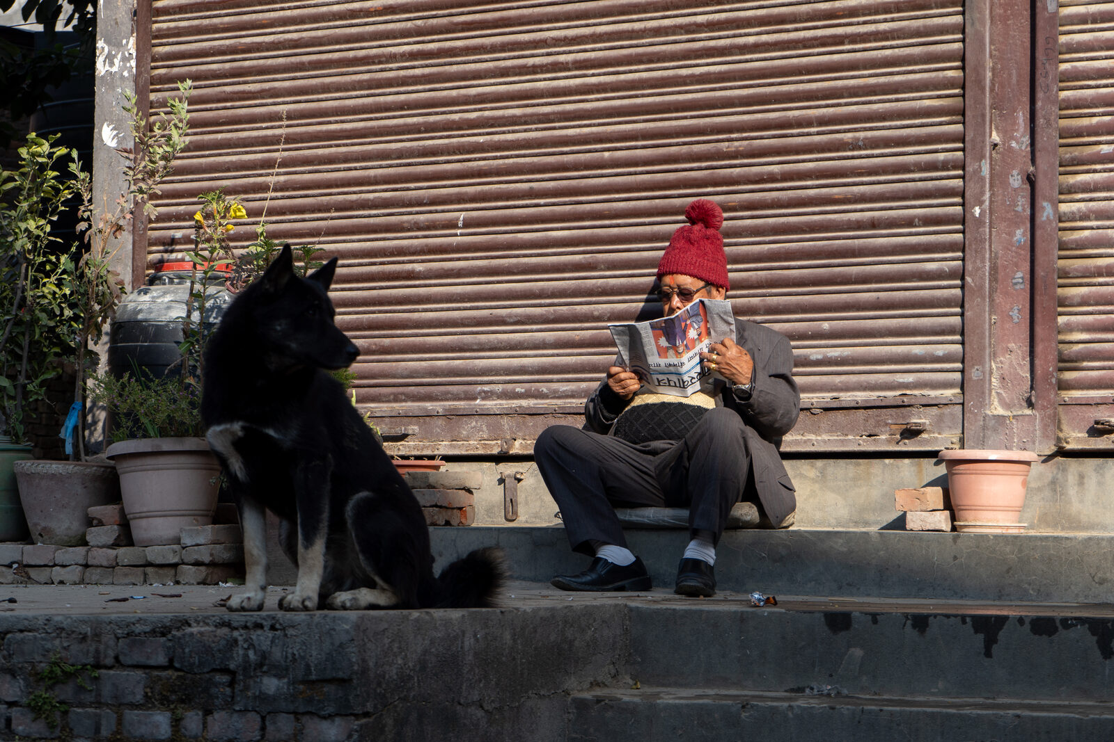 A man reading a newspaper beside a black dog